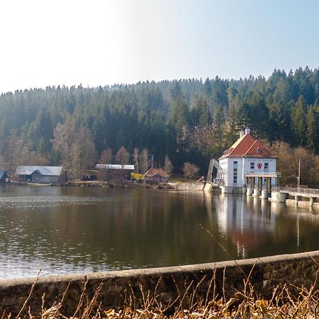 Ferienhaus Nr 18B1, Feriendorf Hagbuegerl, Bayr Wald Waldmuenchen Exterior photo